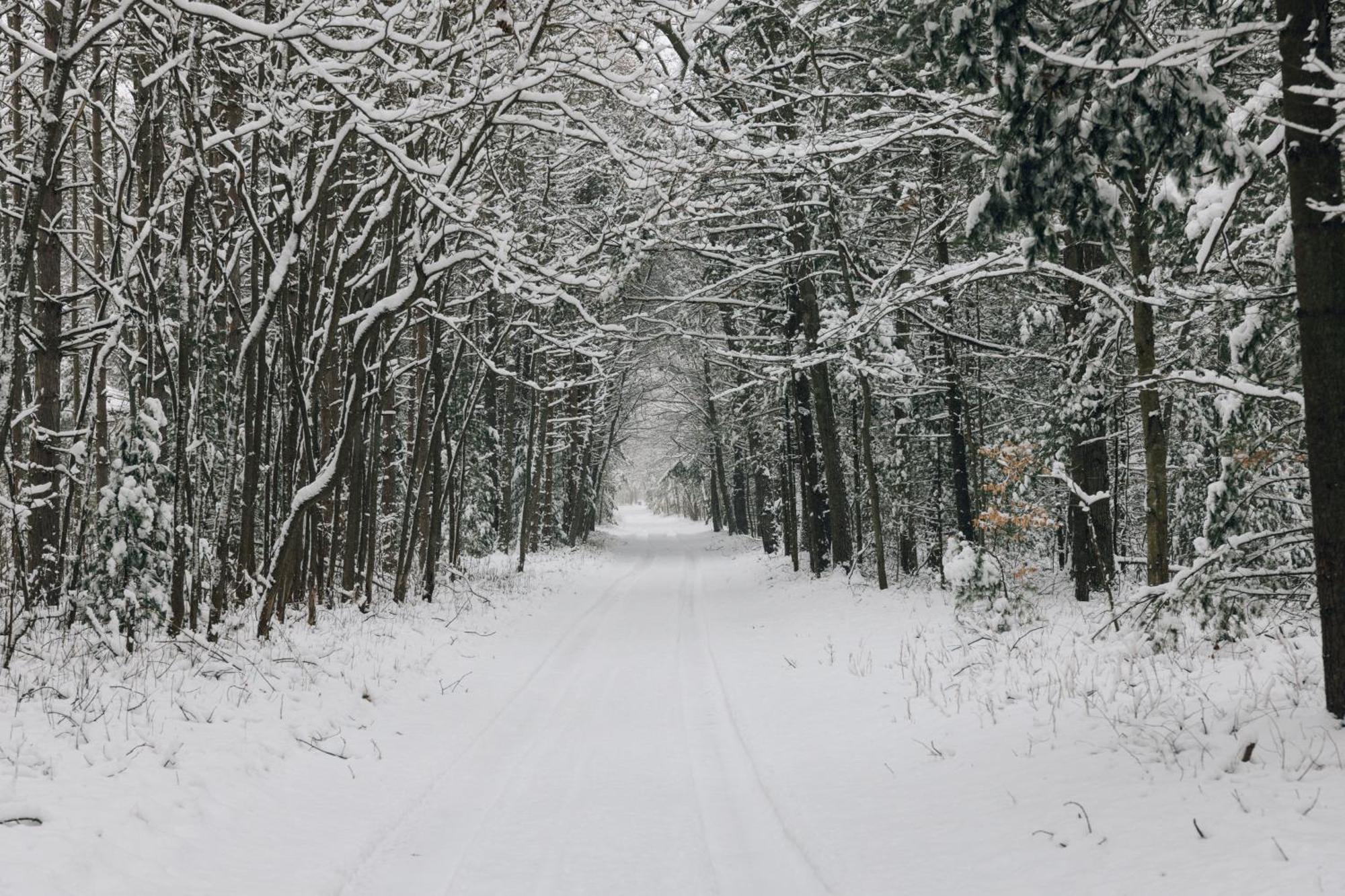 Scenic Drive Resort Маскігон Екстер'єр фото
